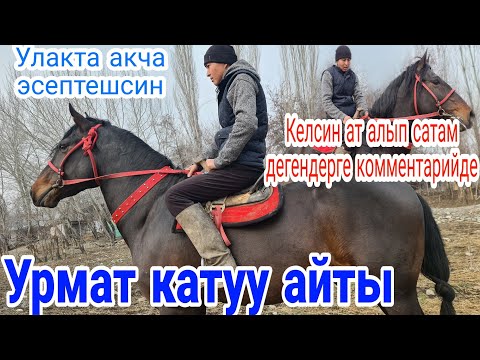 Video: Колдонулган тепкич көтөргүч канча турат?