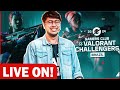 VAVA NOEL - EVENTO CELEBRAÇÃO DE VALORANT (VAVA DE CONSOLE)