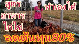 สูตรเด็ด! อาหารไก่ลดต้นทุนได้ 3 เท่า ไก่โตไว ไข่ดก