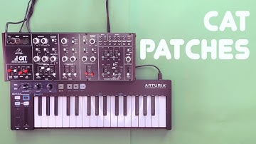 Behringer Cat Sound Demo and Patch Tutorial (No Talking)