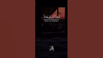 اكتب ما تؤجر عليه، وشارك الأجر#الله #تلاوة_خاشعة #duet #راحة_نفسية #اكسبلور #فلسطين #المغرب #اليمن