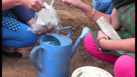 Application Method of Trichoderma Spp.