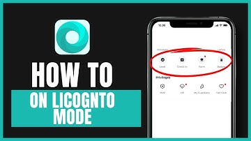 how to enable incognito mode on mint browser