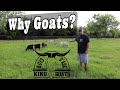 Why Goats? | Reasons To Have Goats | Goat Farm | Kiko Goats | Kiko Meat Goats