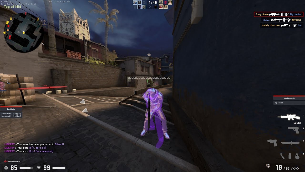 Ez 1k media Csgo hvh