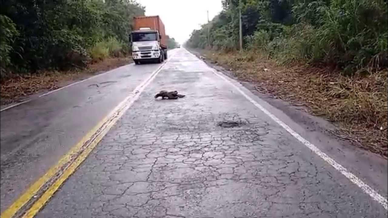 Estrada da ilha Barnabé Santos SP