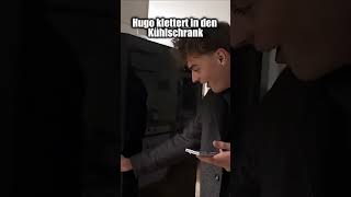 Hugo klettert in den Kühlschrank | reupload | #twitch #foryou #clips #shortvideo #streamer #memes