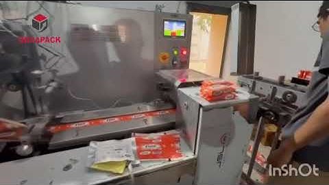 Flow Wrapping Machine II Batch Coding Machine