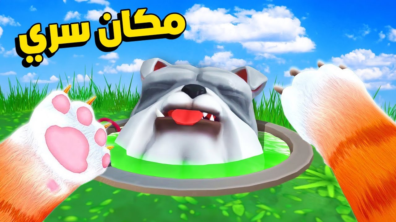 اكتشفت مكان سري وهربت من الكلب!🐱🔥 I Am Cat VR