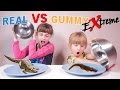 Extreme real vs gummy  insectes reptiles arachnides  studio bubble tea food challenge