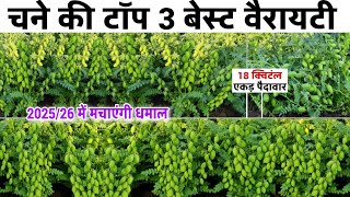Chane Ki Top 3 Best Variety चन क बसट वरयट Chickpea Variety Chana Ki Kheti Kab Kare