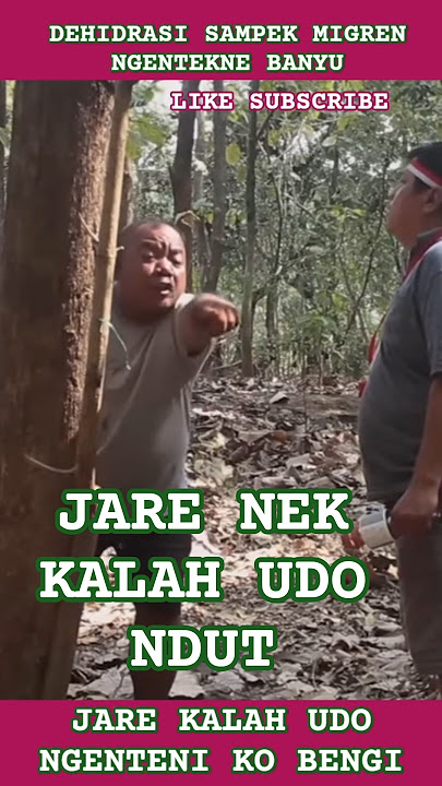 BEN NDANG SEHAT NDUT LOMBA BEN MENANG #lucu