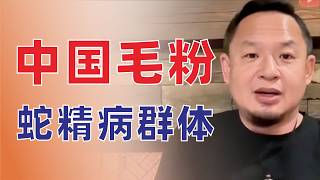 中国毛粉蛇精病群体｜盘点你不知道的红色现代史｜习近平｜孔庆东｜第二次文革｜老王来了