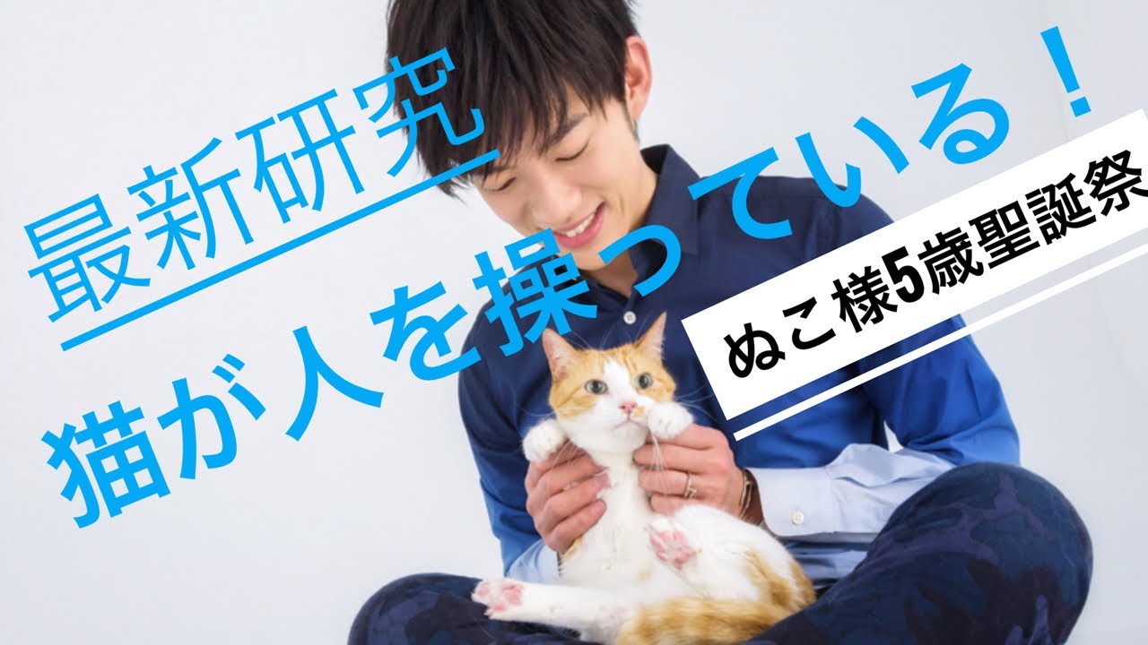 猫はいかにして地球を征服したかを解説 ぬこさま5歳の生誕祭 Youtube