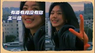 有酒有月没有你 - 王一佳  (你看我有花有酒 有风有月亮 , 可偏偏没你 陪在我身旁)(2025年 11 月更新歌 ) (動態歌詞)