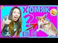 Download Хомяк Elli Di Pets / Назвала хомяка в честь Elli Di ? / Моя история / Алиса Изи Хомяк Elli Di Pets / Назвала хомяка в честь Elli Di ? / Моя история / Алиса Изи
