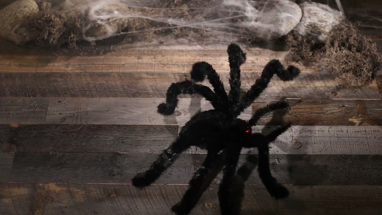 WALKING SPIDER/ANIMATED SPIDER