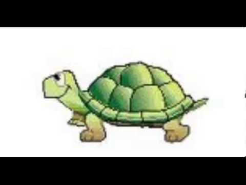 Черепаха за первую минуту проползла 4.7 м. Черепаха движется. Черепаха анимация. Черепаха мультяшная. Анимированная черепашка.