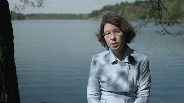 Are the laws of nature beautiful? Book Trailer "Lost in Math"