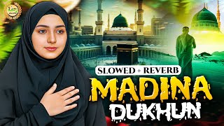 Madina Dekhun-Lofi | Best Islamic Naat Sharif | [Slowed+ Reverb] 2026 | Mind Relaxing Lofi