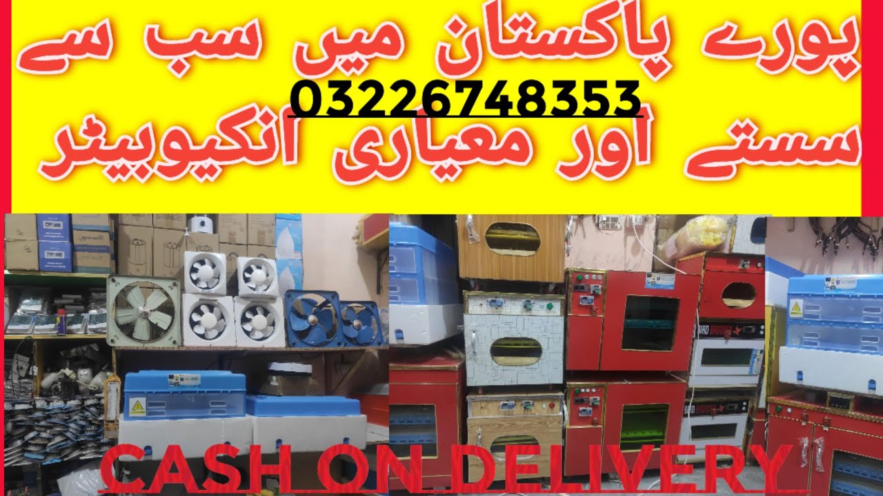 best & cheap price incubator in Pakistan/egg incubator 2023/12 volt dc