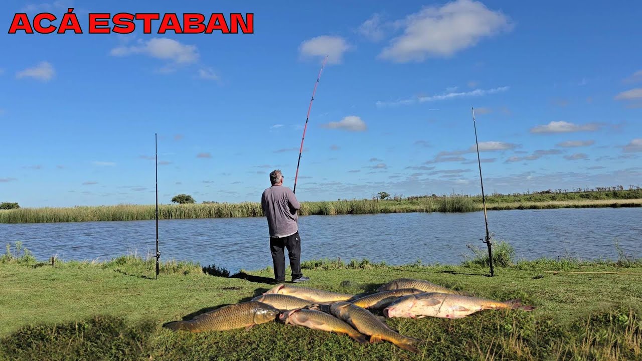 COMIMOS LO QUE PESCAMOS/ ACÁ TE CANSAS DE PESCAR, IMPRESIONANTES PIQUES DE PESCADOS GRANDES!