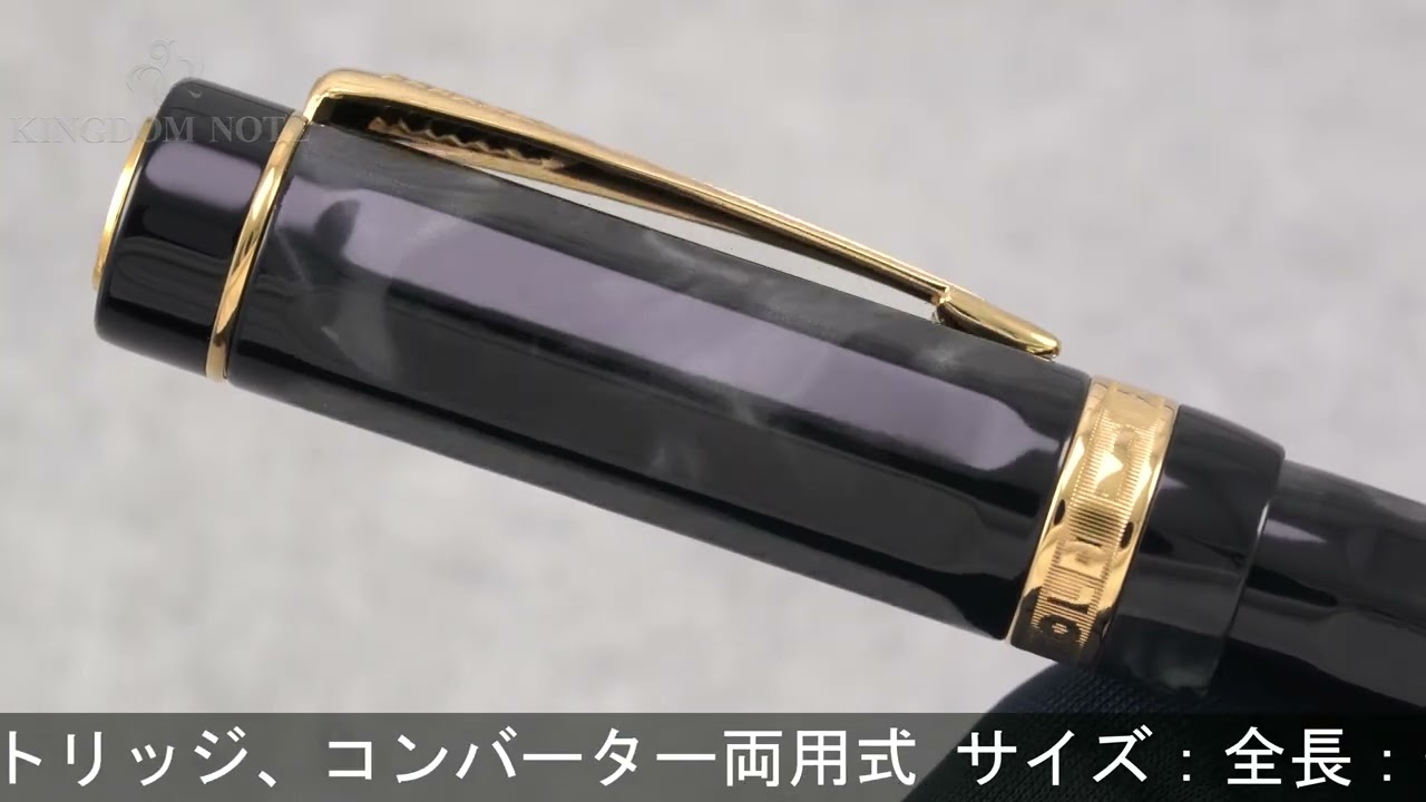 PARKER パーカー 万年筆 リミテッドエディション デュオフォールド
