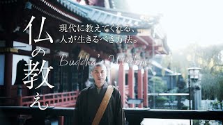 仏の教え -現代に教えてくれる、人が生きるべき方法。［Shot on Nikon