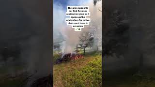 Wildfire Mitigation