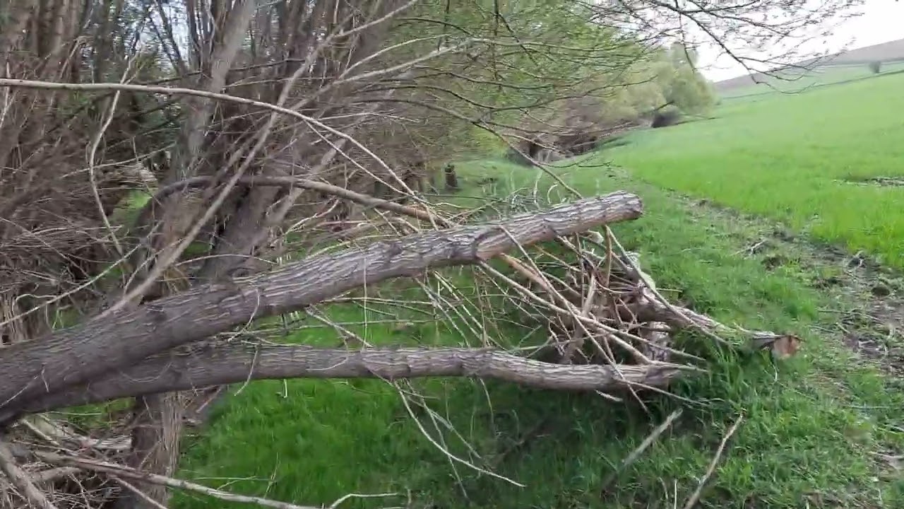 ekecik cankilli dan  güzel görüntüler  (inax) #ekecik #kürt #zaza #aksaray #diyarbakır #amed