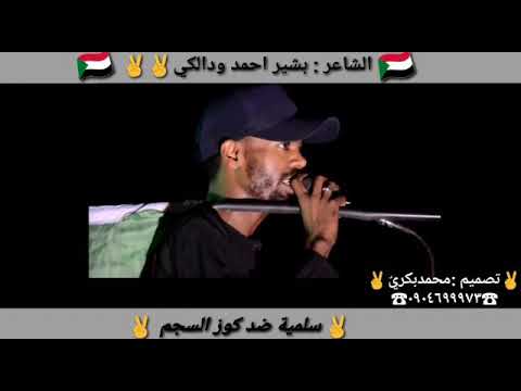 الشاعر بشير احمد ود الكي 