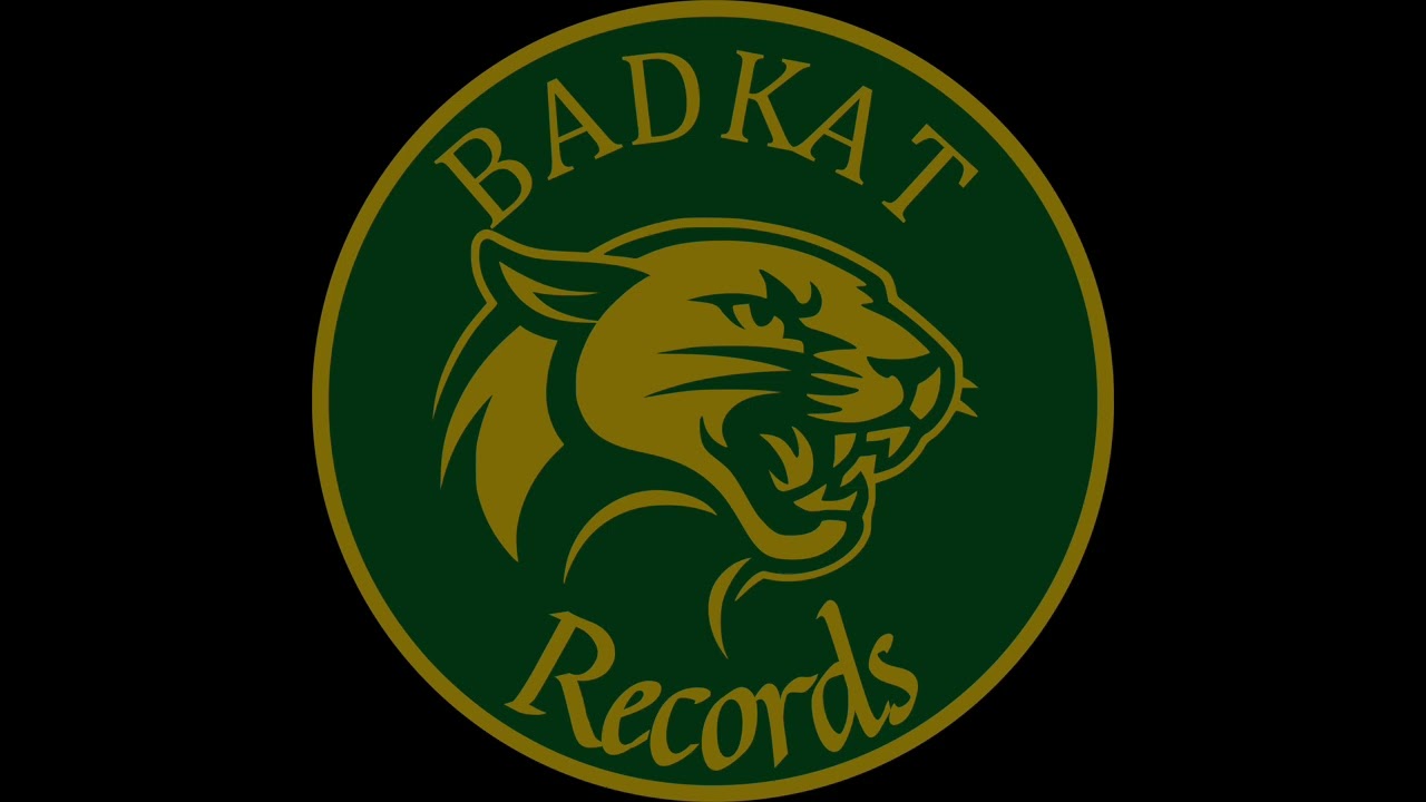 BADKAT - LOST - DNB MIX