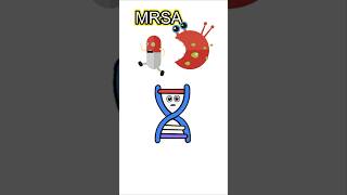 MRSA explained #bacteria #viaralshort #H OLOGY