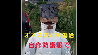 素人がオオスズメバチを自作防護服で駆除！蜂多く過ぎて大苦戦！