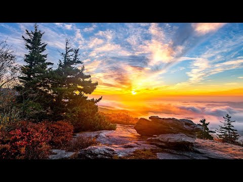 Instrumental Acoustic Indie Folk Playlist Chill Music Blue Ridge Mountains Open Road Folk Music Instrumental Acoustic Indie Folk Playlist Chill Music Blue Ridge Mountains Open Road Folk Music