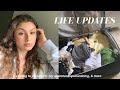 VLOG | a lot of life updates, meet my mom's dogs, + giving my grandpa a haircut!