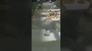 Fully Automatic Ice Cream Cone Making Machine | Automatic Sugar Wafer Cone Maker