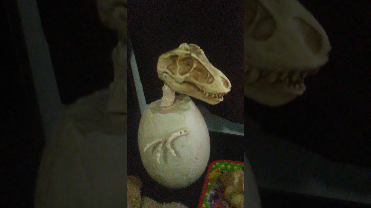 Crocodile puppets Thanksgiving Rampage - YouTube