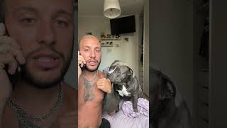 Aveva Paura Della Polizia Da Piccolo 😅😱🥰 #Funny #Funnyvideo #Lol #Funnyshorts #Dog #Doglover