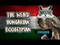 Copperdck owl  the hungarian boogeyman rzfasz bagoly
