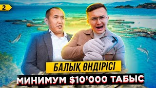 Қалай балық шаруашылығы арқылы минимум $10'000 табыс? | БИЗНЕС ТАЛДАУ