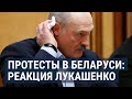 А. Халдей. Лукашенко сносит выращенная им оппозиция.