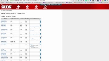 Canvas Interaction Report