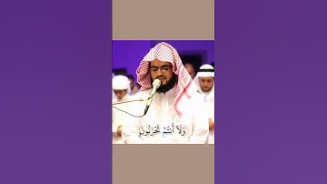 ماتيسر من سورة الزخرف /القارئ رعد الكردي 🤍♥