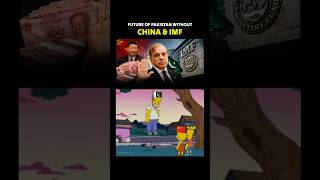 Pakistan without China & IMF be like 🔥🤣 Funny Meme #indiapakistanconflict