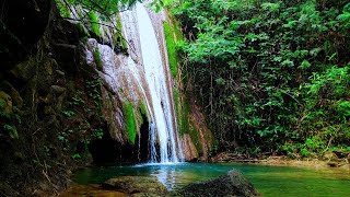 Top Sound Therapist Reveals Best Relaxation Techniques with Nature Sounds