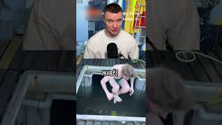 Thumbnail for Я бы Не Прыгнул Туда и За 100 Миллионов 😭