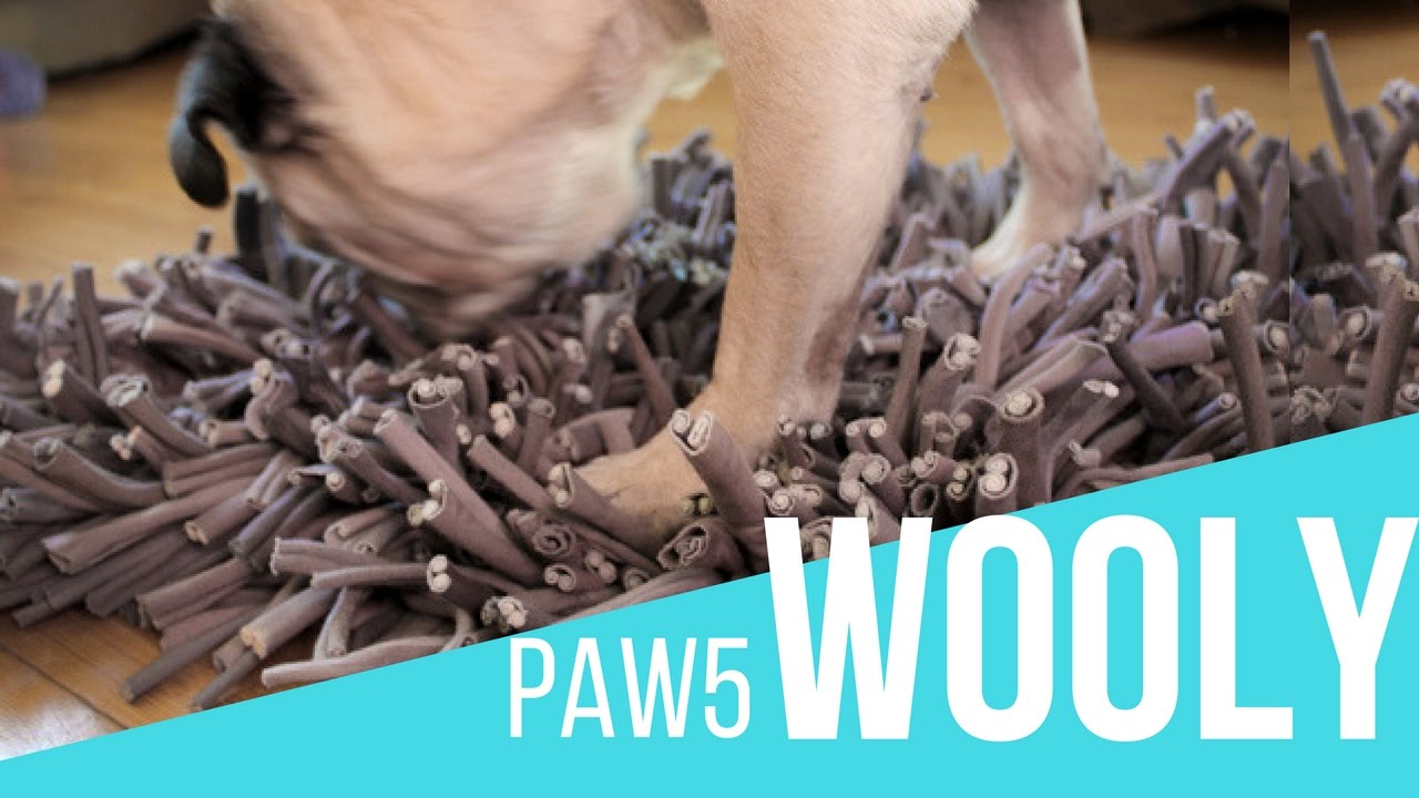 Pug Reviews PAW5 Wooly Snuffle Mat YouTube