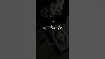 هَلْ جَزَاءُ الْإِحْسَانِ إِلَّا الْإِحْسَانُ♡ // أجمل التلاوات أرح سمعك وقلبك بها ♡ #ماهر_المعيقلي