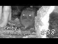 Phiby, dreibeinige Igeldame #38